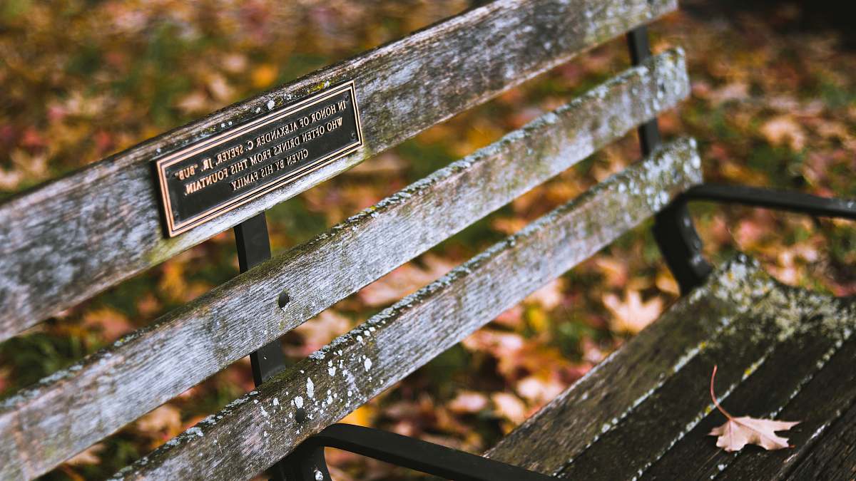 schenley drive brown wooden bench chair with signage pittsburgh